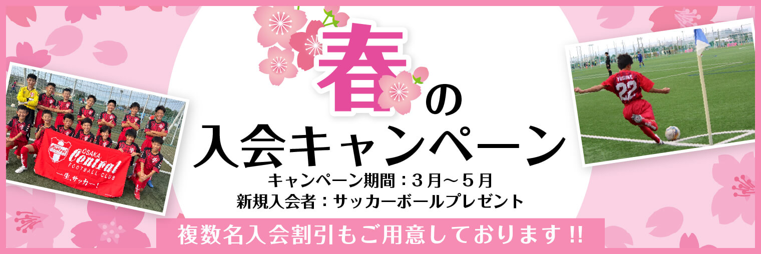 春のキャンペーン